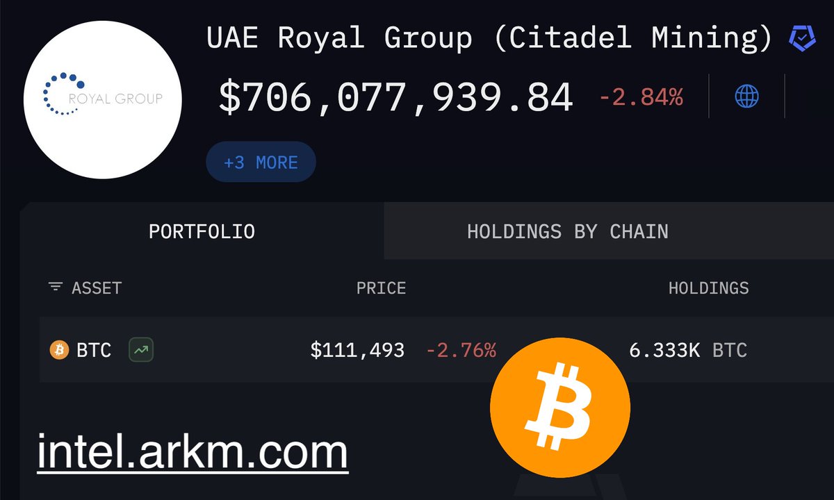 Arkham Says UAE Holds About $700 Million in Bitcoin Via Citadel Mining