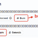 burn_address