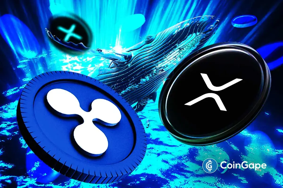Ripple token rising high
