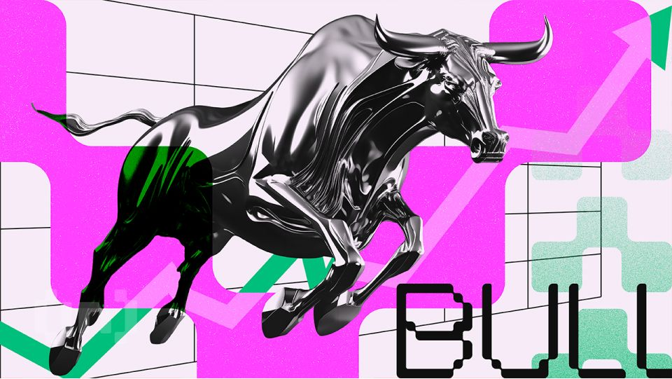 IA de Elon Musk escolhe sua criptomoeda com maior potencial em 10 anos