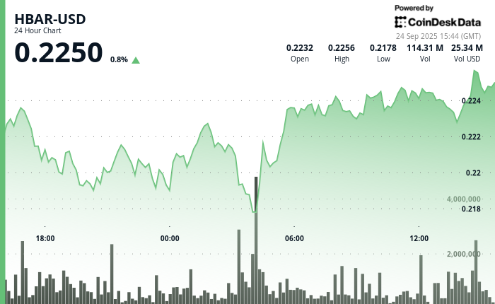HBAR/USD (TradingView)