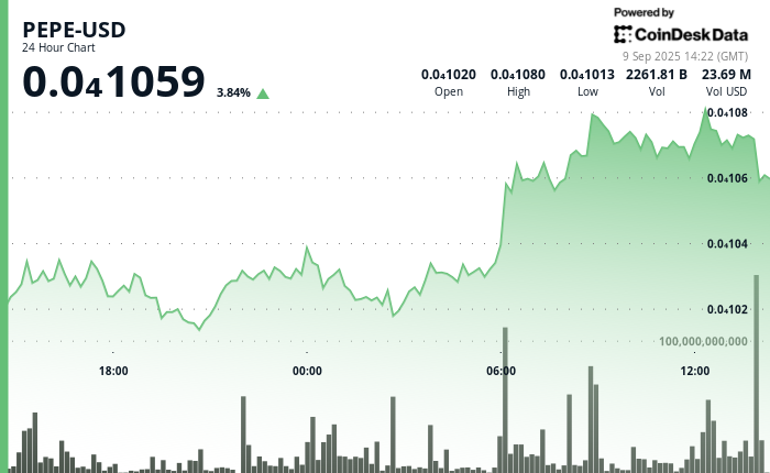 BONK, Sept. 09 2025 (CoinDesk)