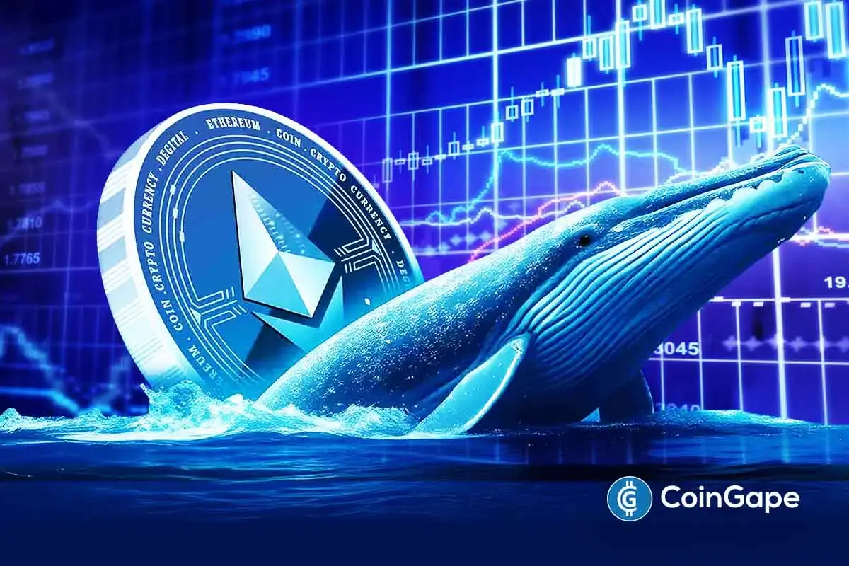 Ethereum price set for rebound as whale accumulation grows stronger
