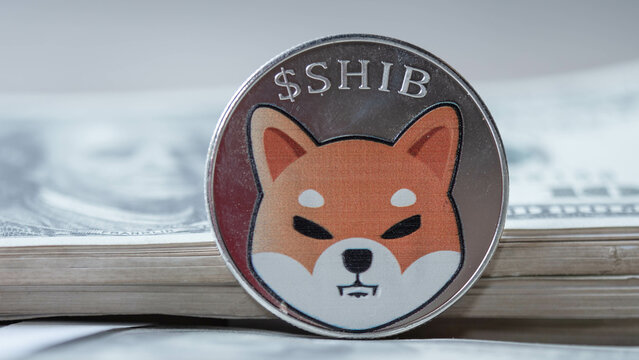 Shiba Inu