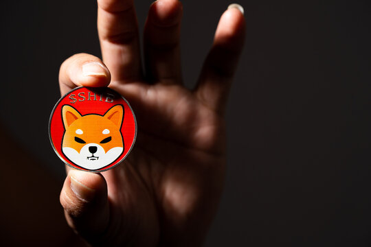Shiba Inu
