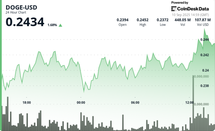 SHIB-USD. (CoinDesk)