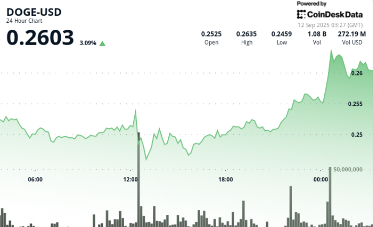 fight, fencing, duel (CoinDesk Archives)