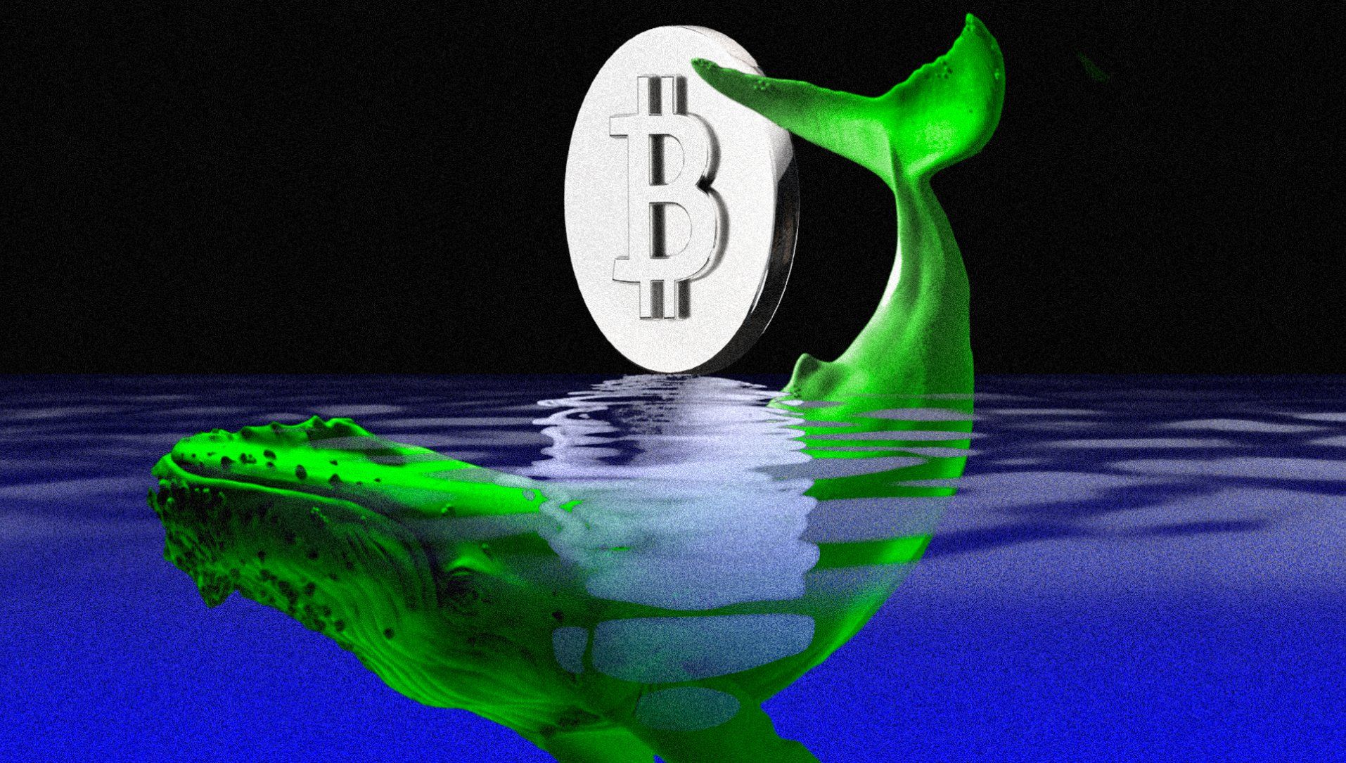Posição Longa de Baleia de Cripto em Bitcoin e Ethereum.