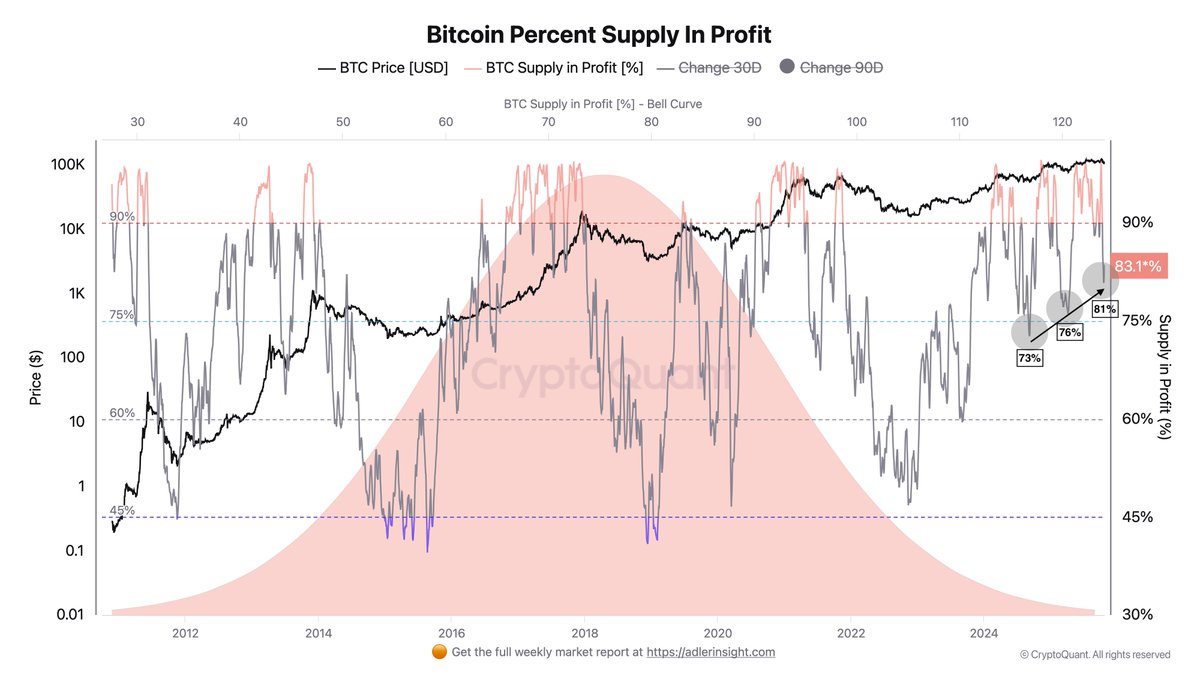 Bitcoin Percent Supply in Profit