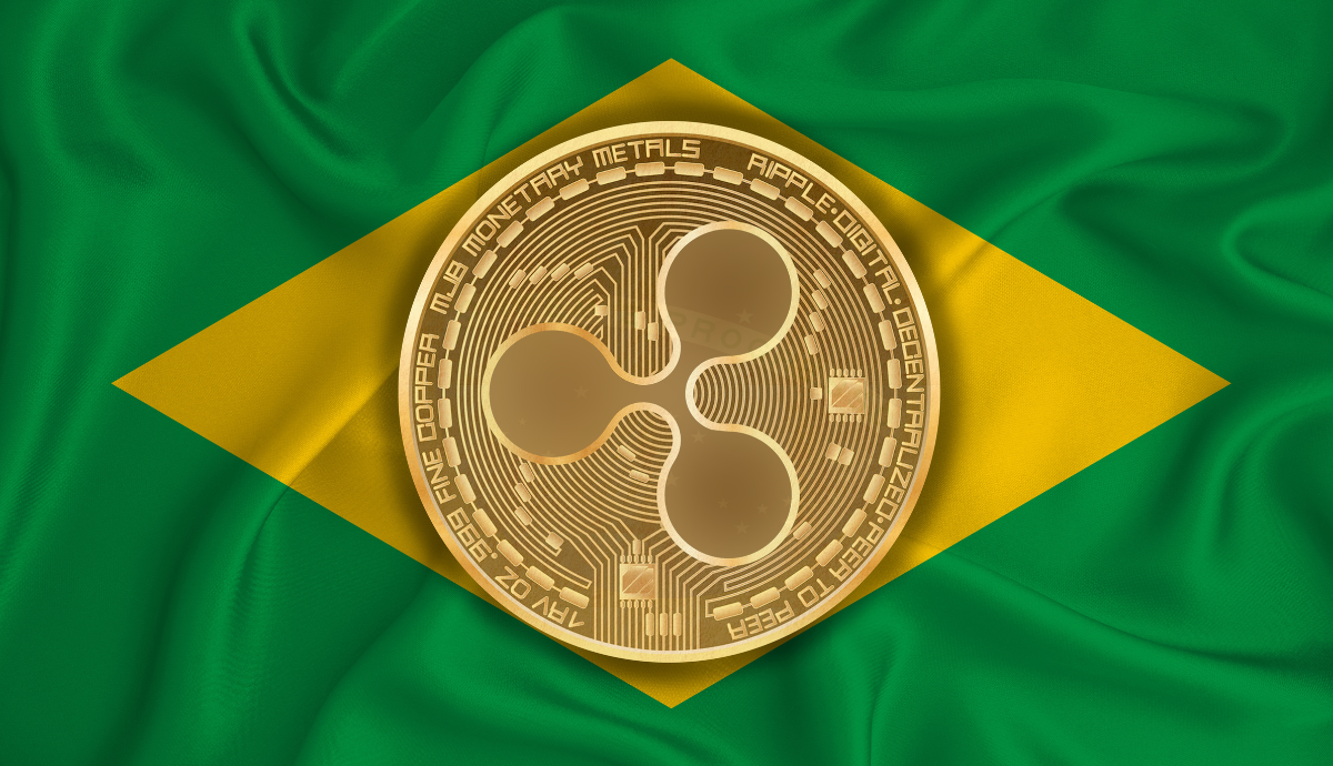 Rodrigo Tolotti avatar
