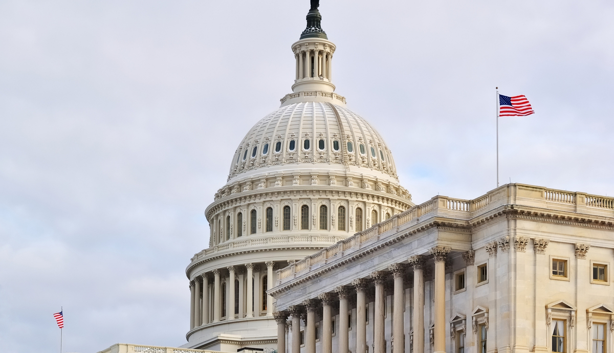 Rodrigo Tolotti avatar