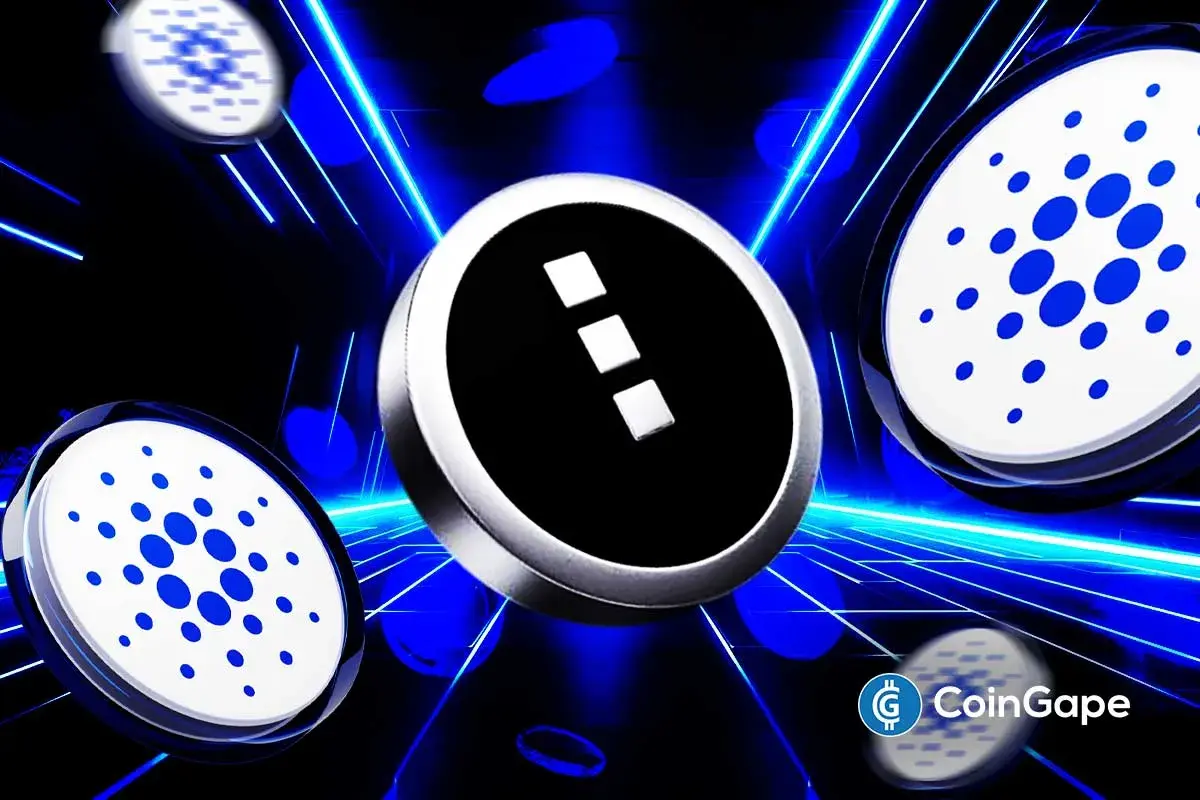 Cardano Price Outlook as NIGHT Token Set to Launch on December 8
