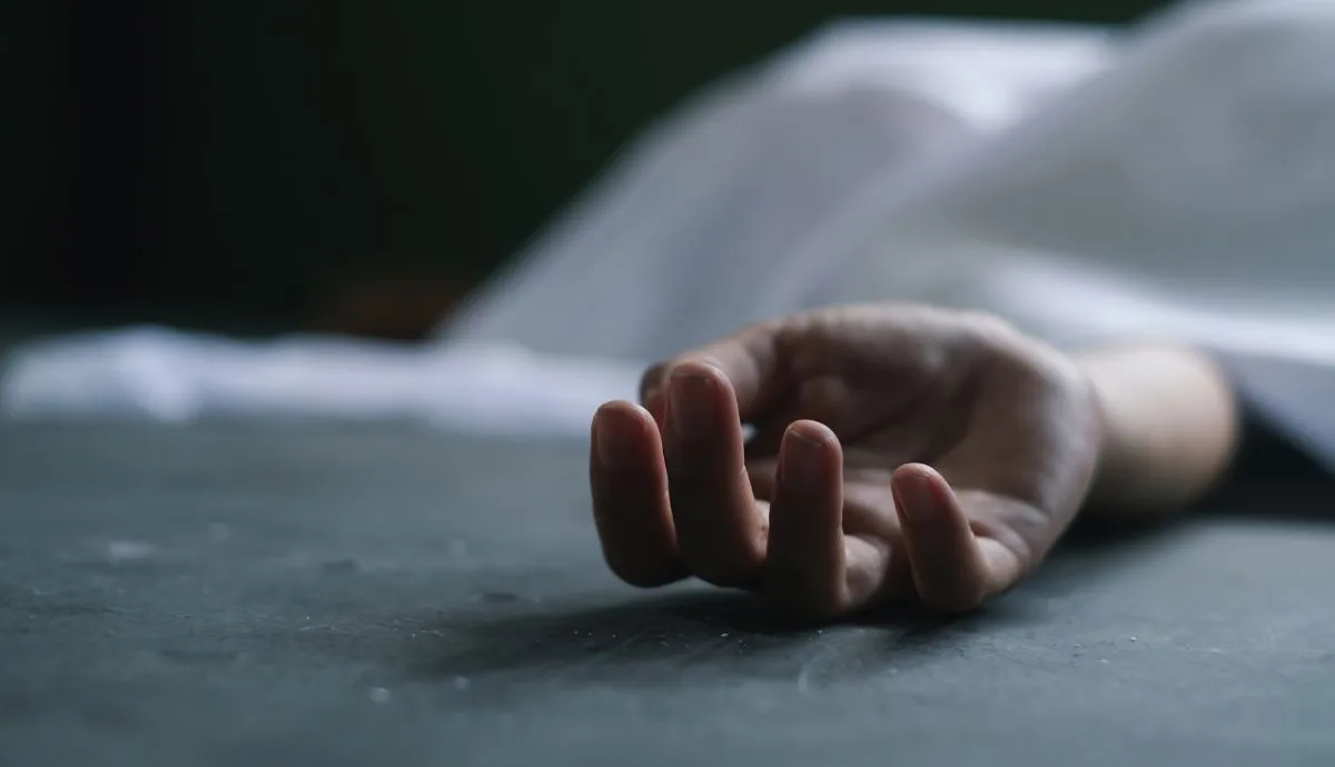 Fernando Martines avatar