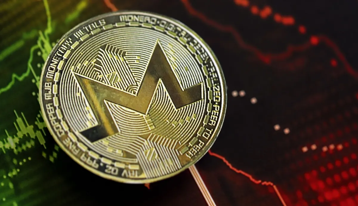 Rodrigo Tolotti avatar