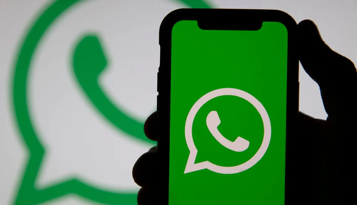 Rodrigo Tolotti avatar