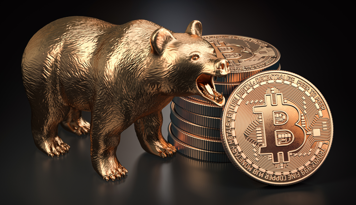 Fernando Martines avatar