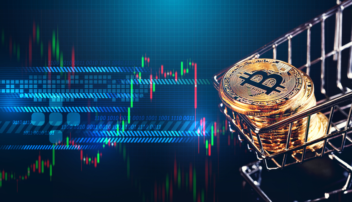 Rodrigo Tolotti avatar