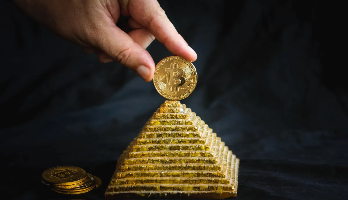 Portal do Bitcoin avatar