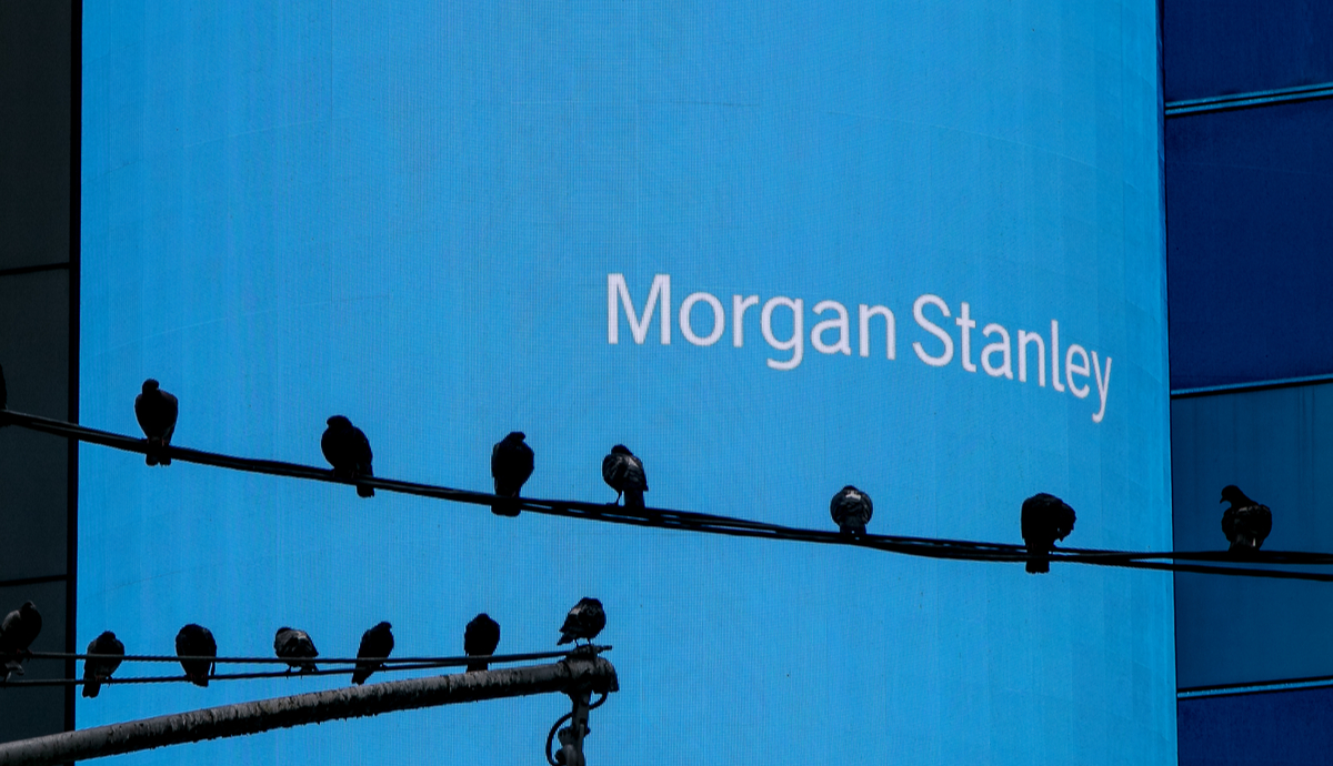 Rodrigo Tolotti avatar